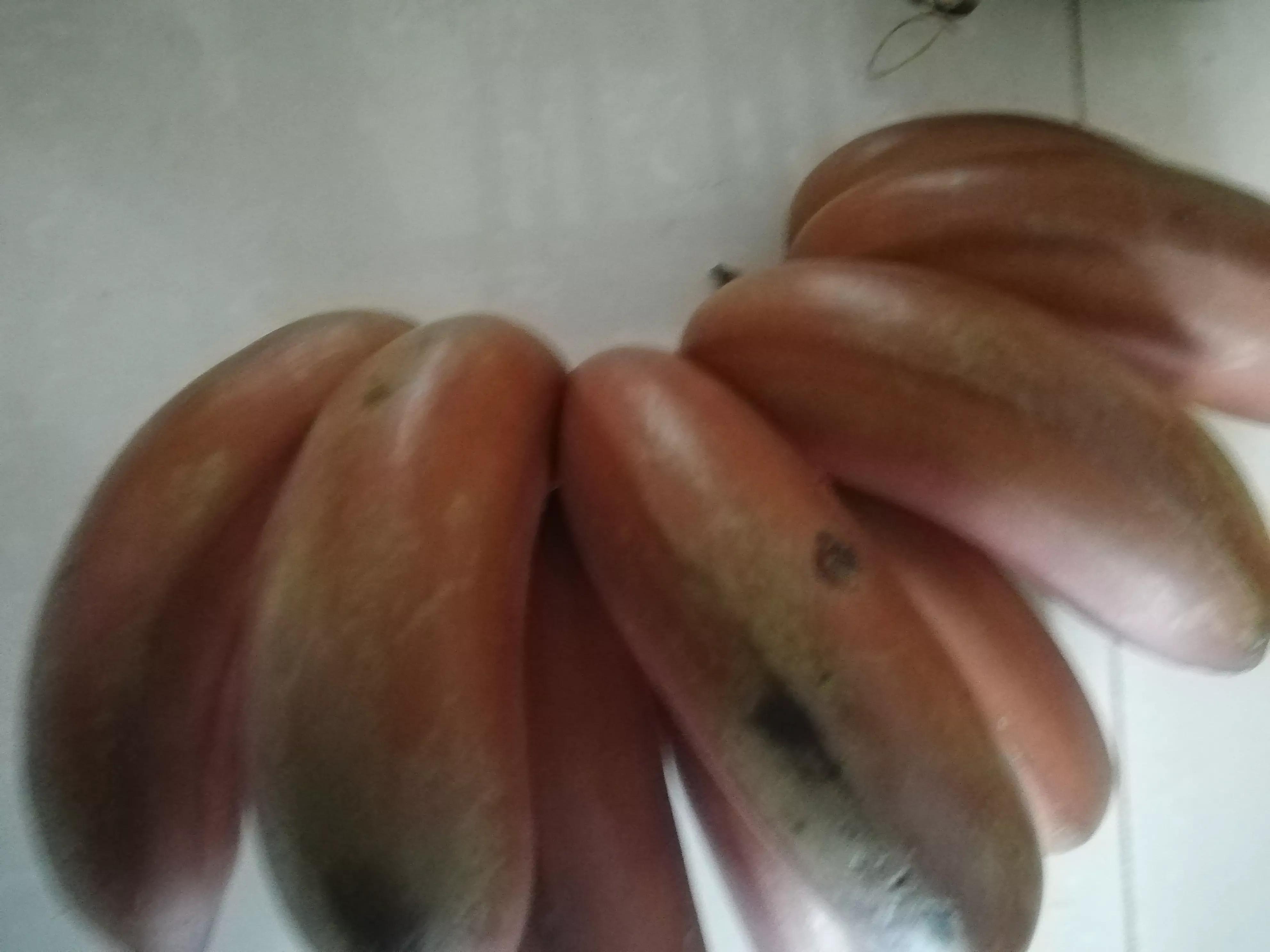 难忘的第一次100字,难忘的第一次三年级300字作文