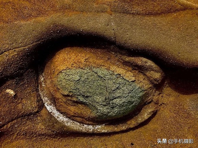 ippa摄影大赛年度总冠军,ippa摄影大赛2014