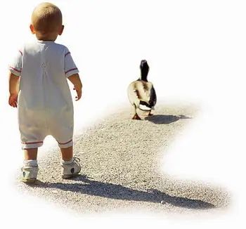 婴儿练趴睡窒息事件全过程,婴儿被妈妈训练趴睡结果窒息死亡