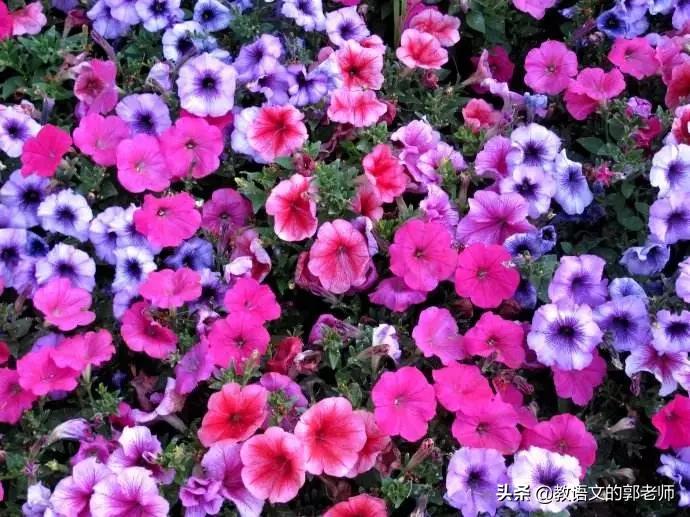 幼儿园五一劳动节黑板报简单漂亮,五一劳动节手抄报名人名言和诗歌