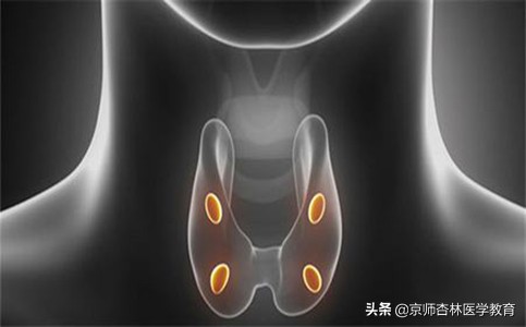 京师杏林的口碑,京师杏林真的有用吗