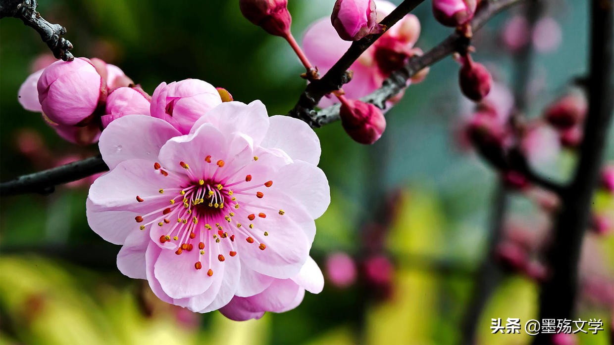 爱的创可贴全集免费观看,爱的创可贴全集