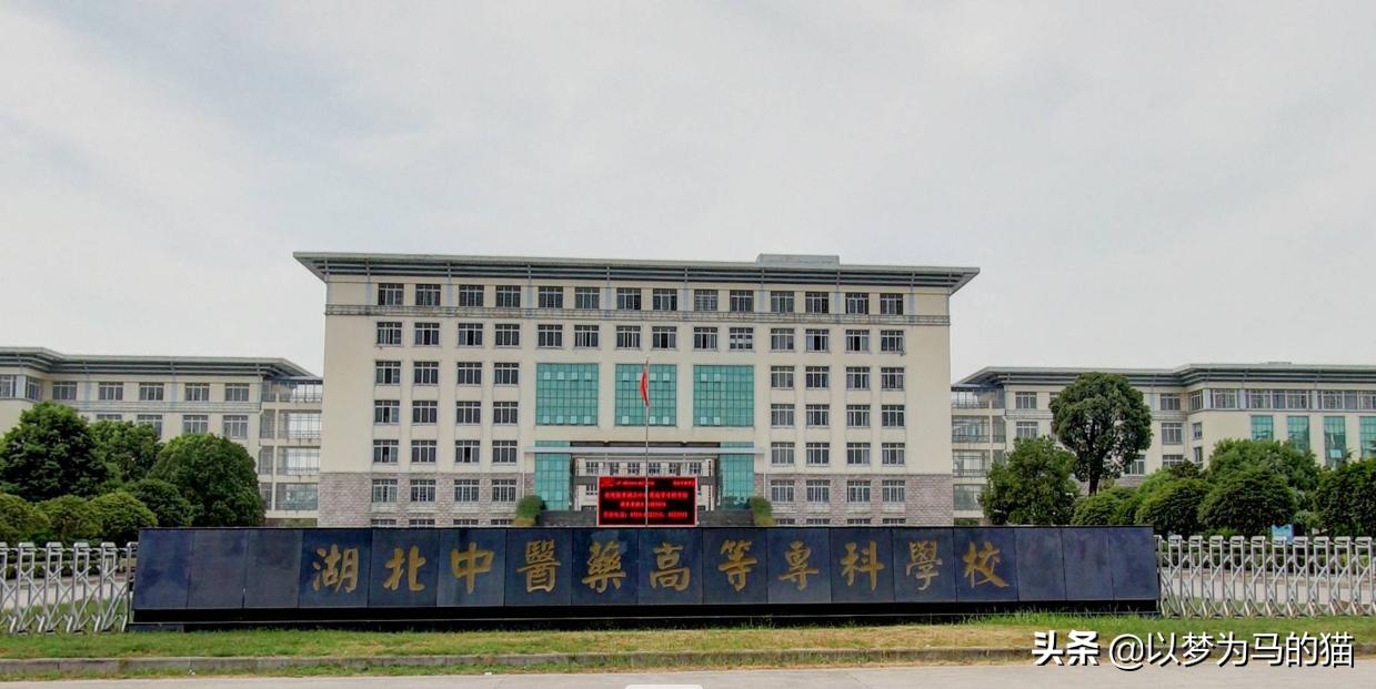 11所专科医学院校,全国最好的医学专业学校排行榜