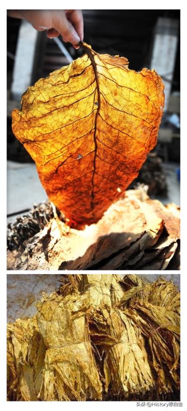 吸烟史翻译,吸烟史超过20年