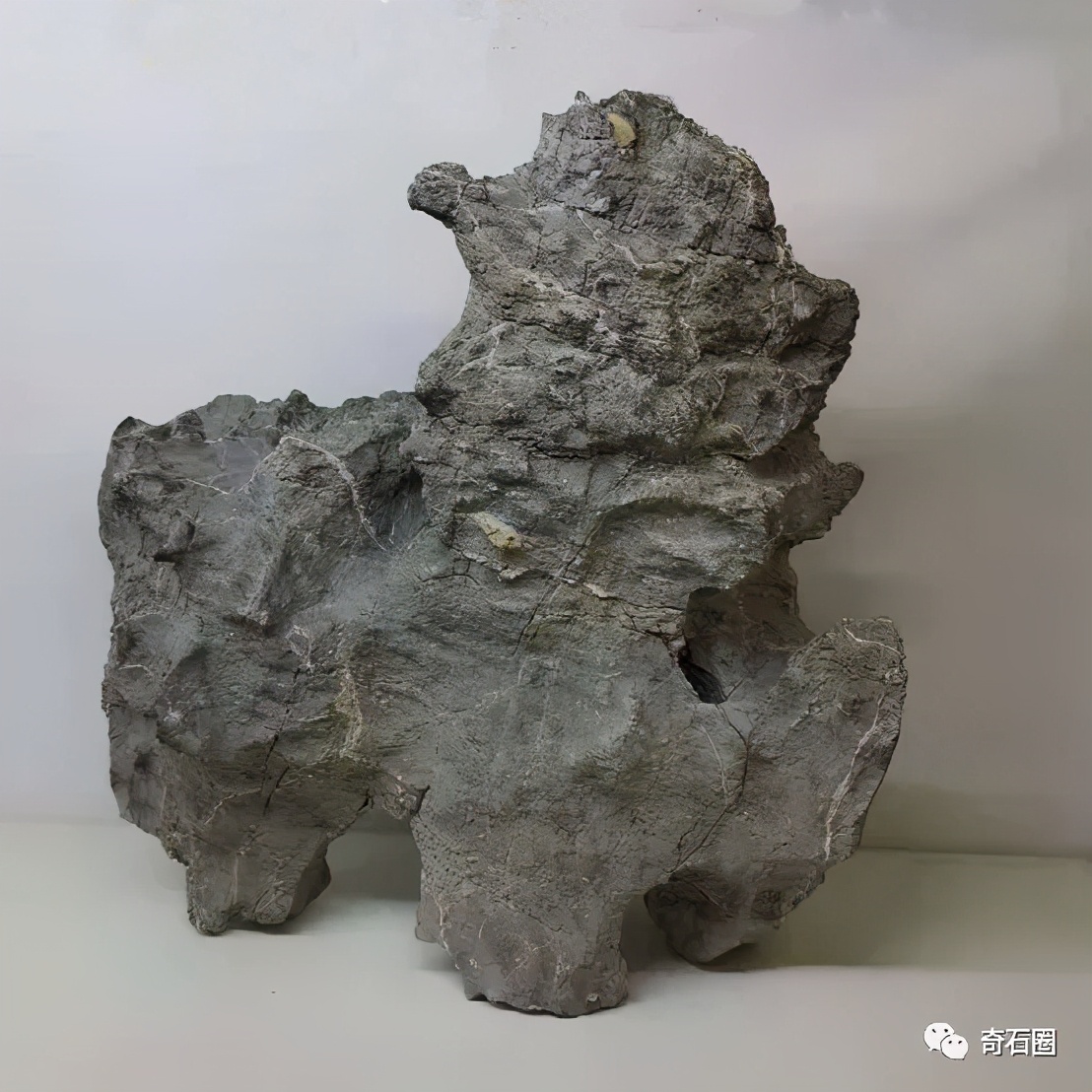 “一见倾心的石头”入围作品展播