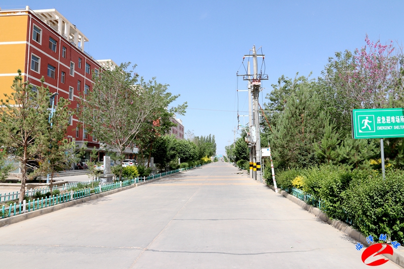 临泽融媒：蓼泉镇巾帼展风采扬帆新征程