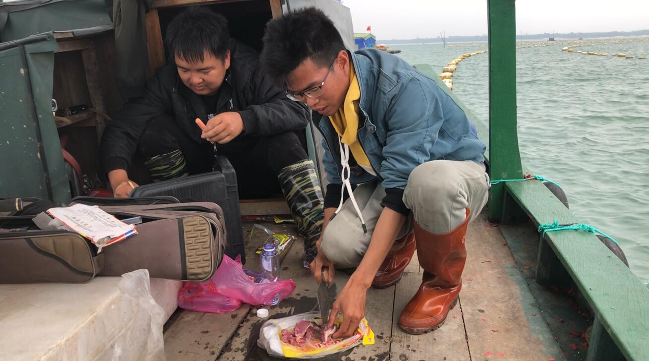 初次出海钓鱼的视频,钓鱼人第一次出海钓鱼