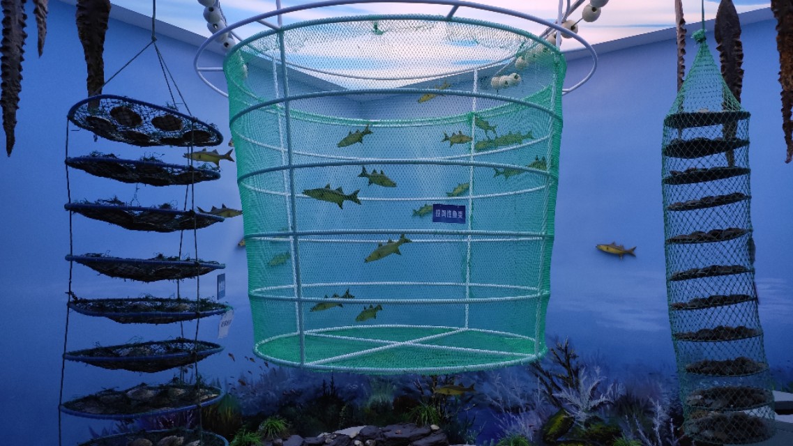 扇贝跑路的风险,扇贝真的会跑么