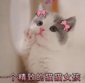 十大公认好用的孕妇身体乳,孕妇专用身体乳品牌推荐