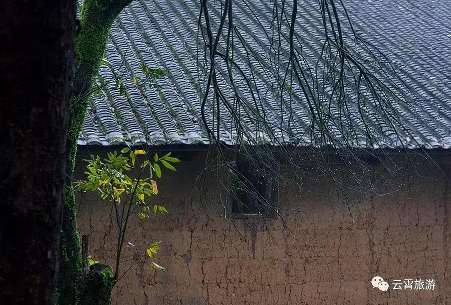 山海闽西南|乐吃、乐游、乐开怀！带上这份攻略，玩转云霄白石村~