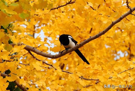 大连有一个蓝色的小城堡景点,大连秋季旅游景点攻略大全