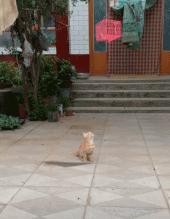 搞笑gif段子因为爱情所以共患难,搞笑gif段子小伙子你谈恋爱了吗