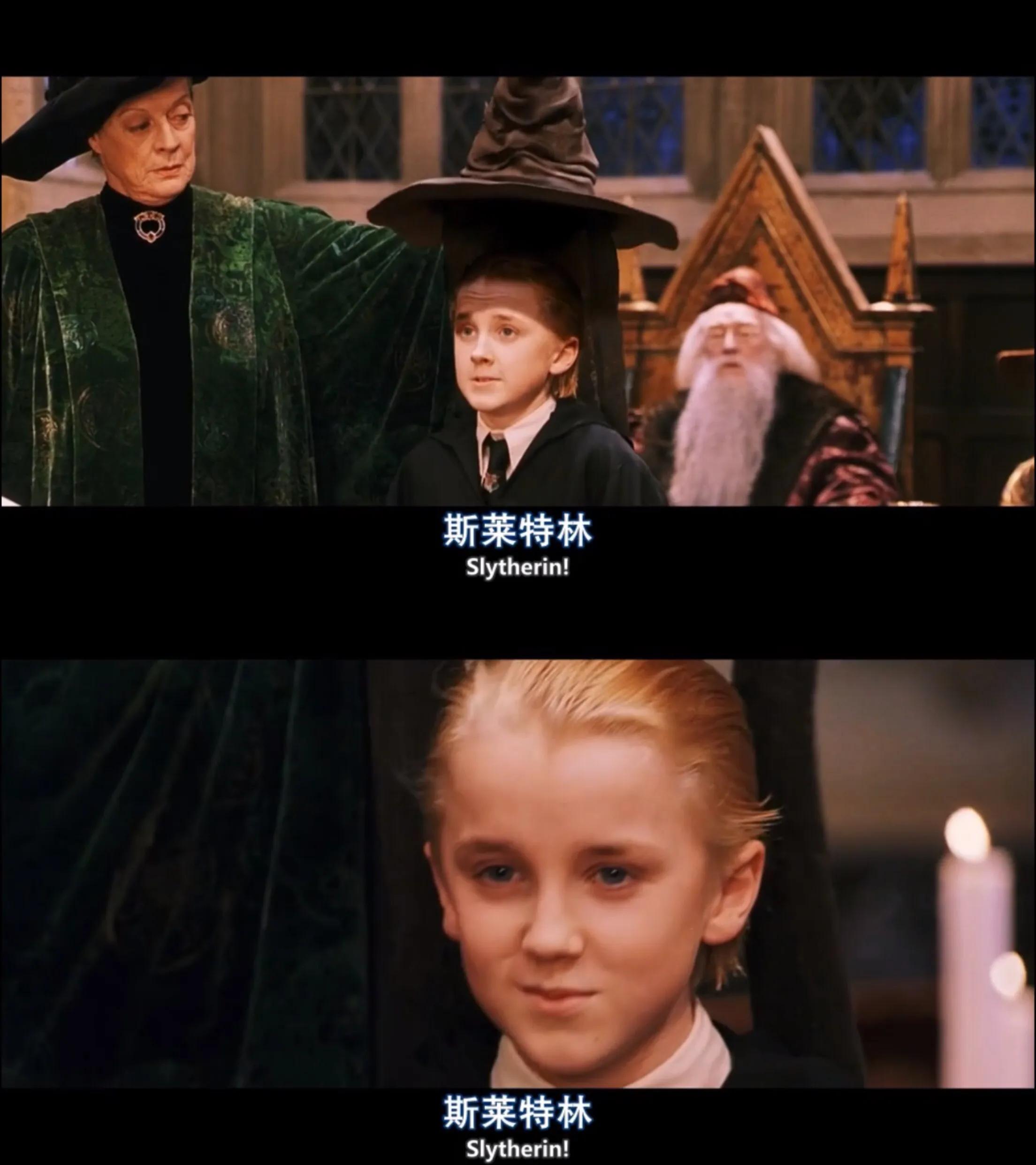 德拉科马尔福七年,德拉科马尔福十件事