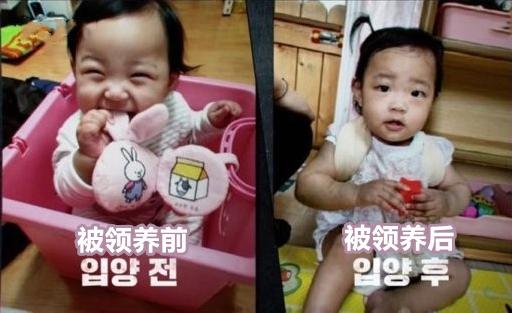 郑仁虐待事件,郑仁被养母录下800条虐待证据