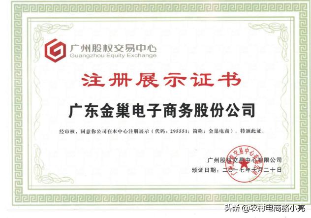 广东金巢电子商务股份公司发展历程和简介