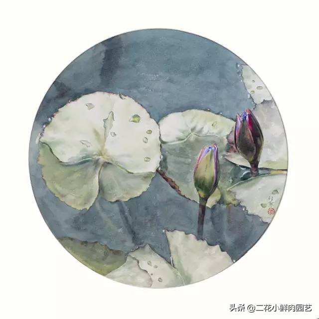 100种花卉绘画,100多张花卉线描手稿素材赶快收藏