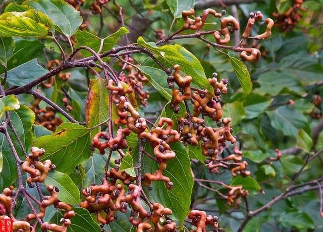 带你寻找记忆中的童年,我的童年既是怎样的又是怎样的