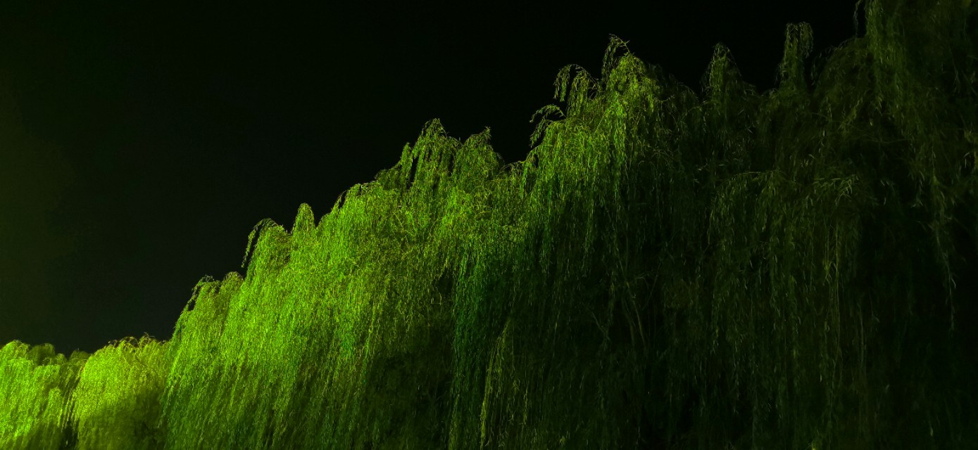 三门峡天鹅湖大酒店,天鹅湖大酒店附近商业街