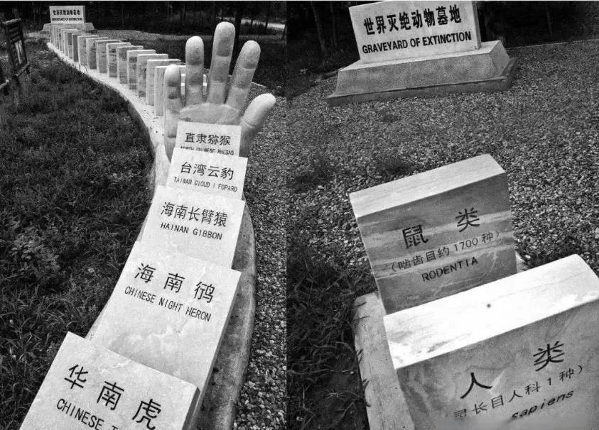 台风烟花过后留下惊人的一幕,台风烟花结局