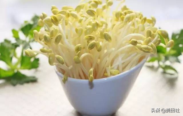 怎么样能纸上种菜,在家种菜可以做什么