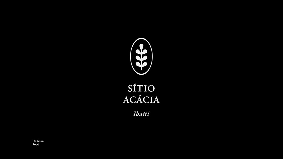 巴西设计工作室,巴西体育馆建筑设计