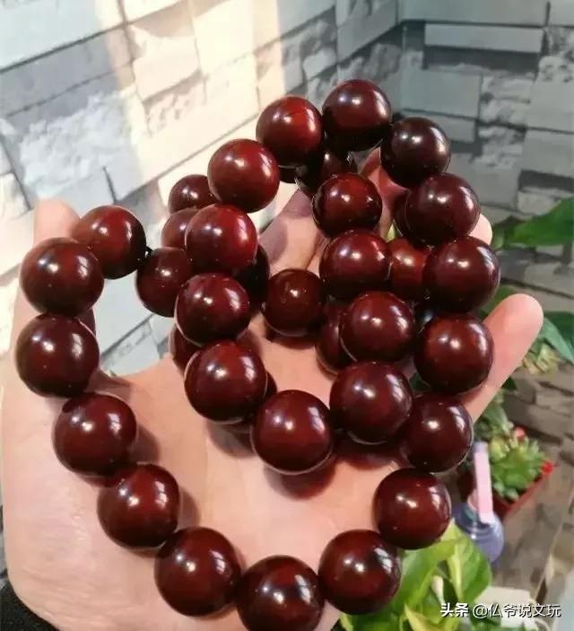 星月金刚凤眼的区别,星月菩提凤眼菩提金刚菩提怎么选