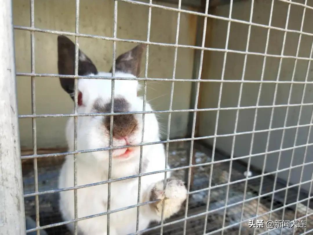 大连赏秋免费的地方,大连赏秋打卡地