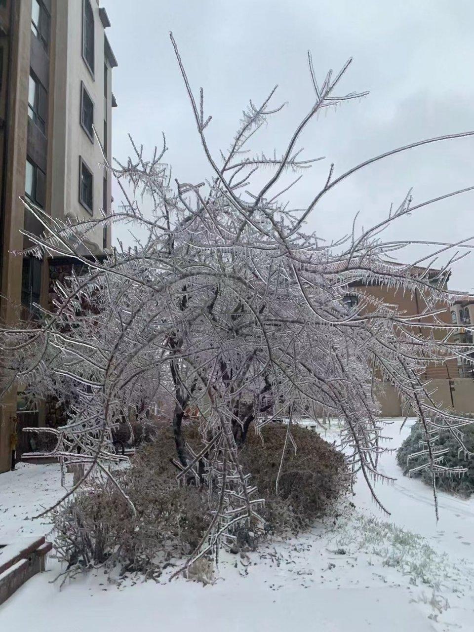 东北暴雪天有多猛视频火了,东北暴雪天有多猛热搜