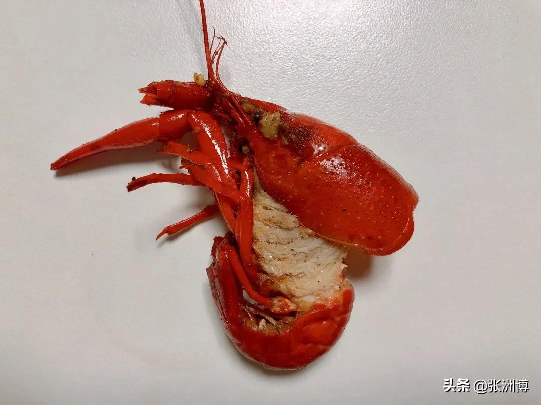 网红红黑榜,今年小龙虾排行榜