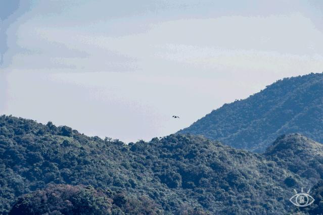 深圳绝美小岛景点介绍,深圳有哪些绝美的海景