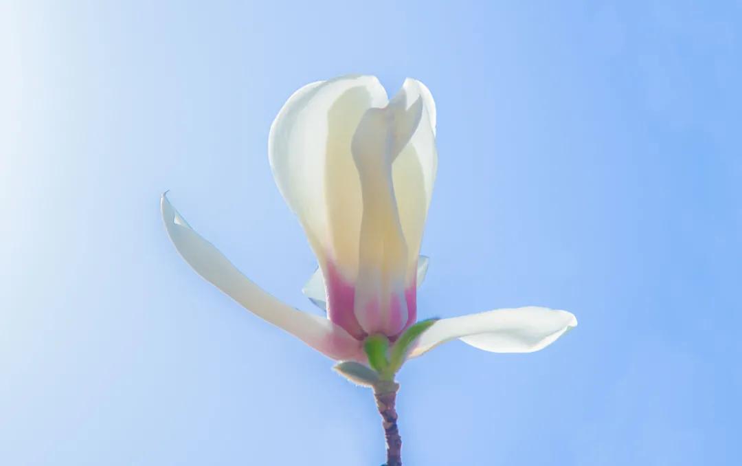 恭喜考生考入大连理工文案,寒门学子考上大连理工