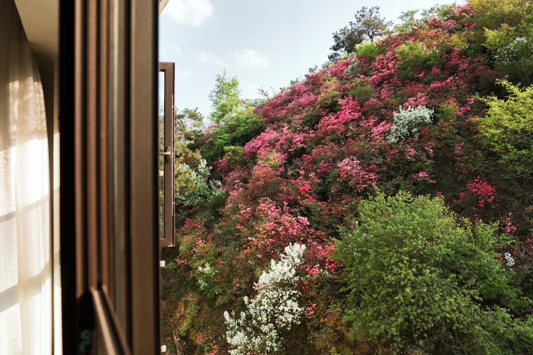 藏在武汉郊野的4家美宿,武汉藏在山里的民宿