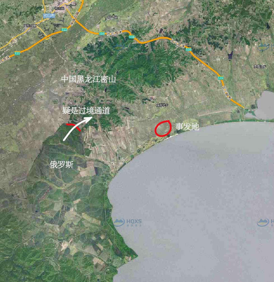 野生老虎为什么会避开人类,野生虎出没是环境变好了还是坏了