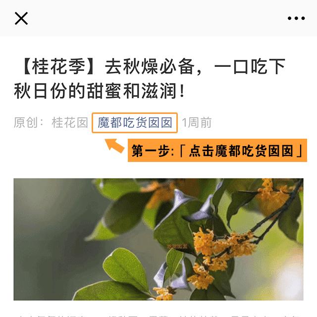 上海和意大利隔多远,上海与意大利时差