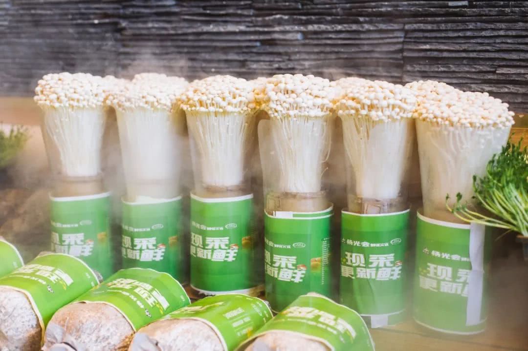 把菜园搬到超市,把菜园搬到家门口