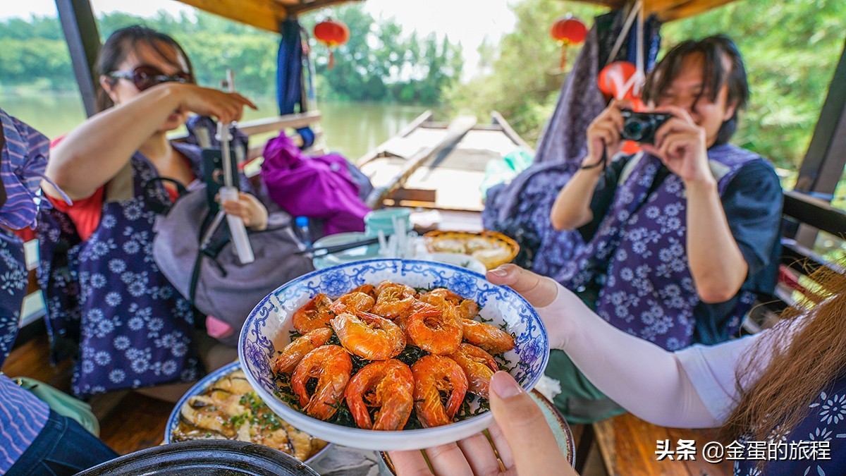 苏州旅游沙家浜,人人都知江南好下一句