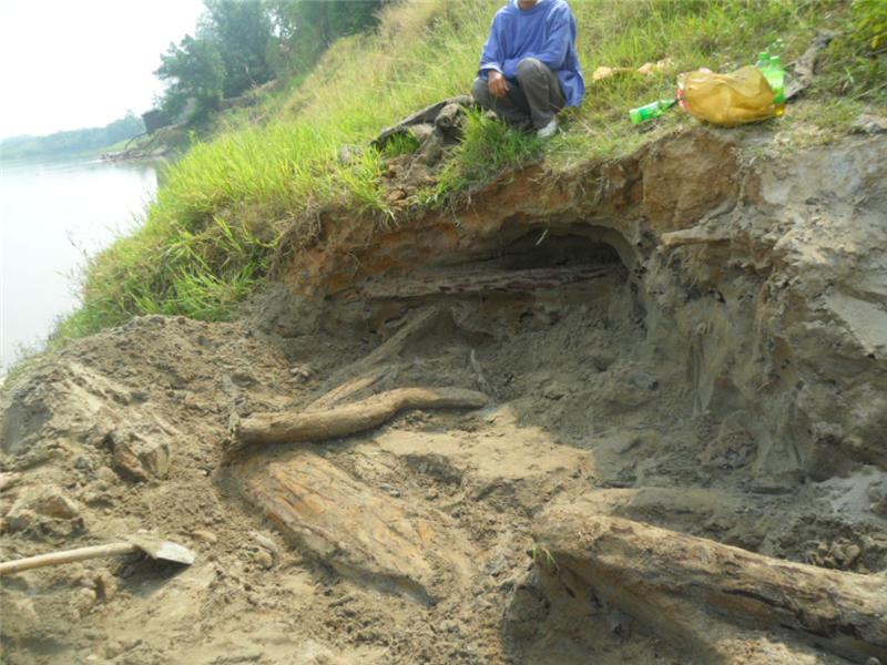 金丝楠木宝座龙椅,金丝楠阴沉木龙椅