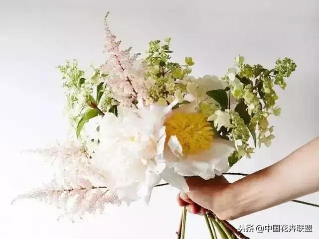 100种鲜花的花语樱花,100种不同花的花语