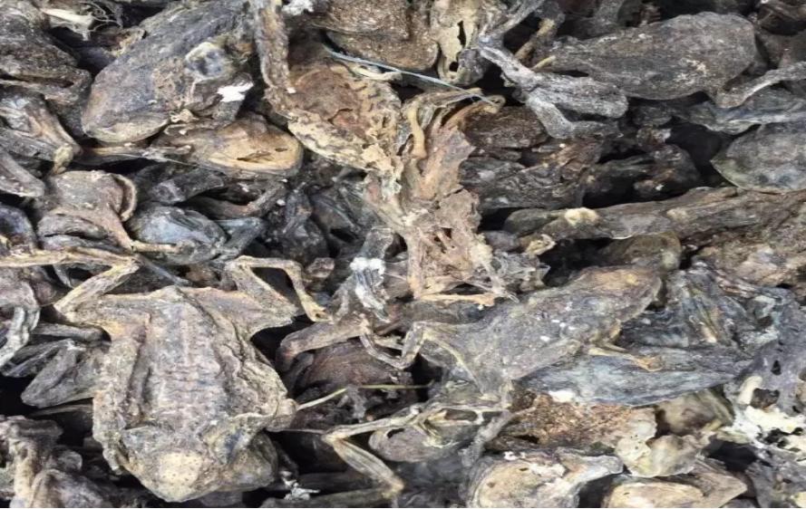 五独合剂，养殖必备，久病难治专用药