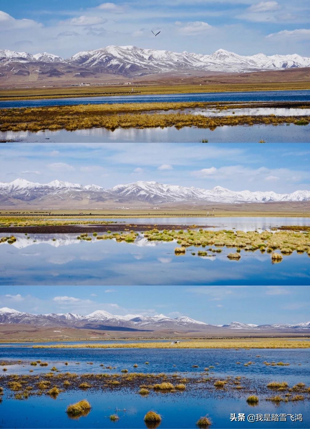 川西若尔盖7天自驾游,自驾9天若尔盖