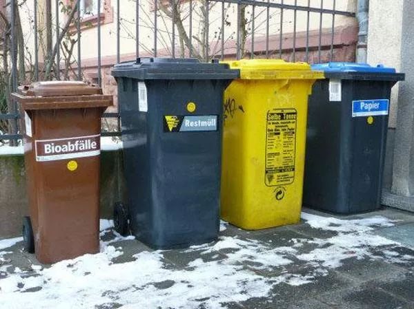 林子大了什么鸟都有是什么梗,林子大了什么鸟都有没啥稀奇的