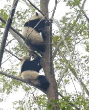 做塑料姐妹,真正的塑料姐妹是什么样的