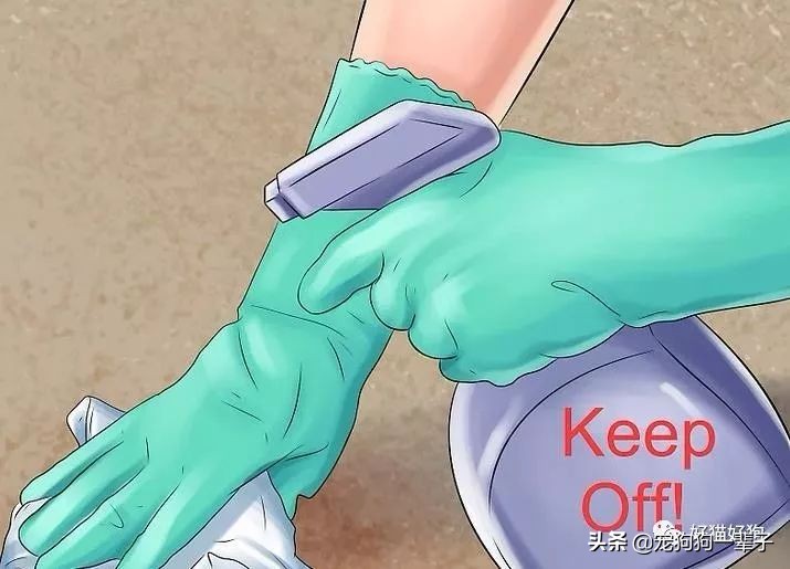 狗狗8个月还是乱拉乱尿怎么办,狗狗出了围栏就乱尿咋回事