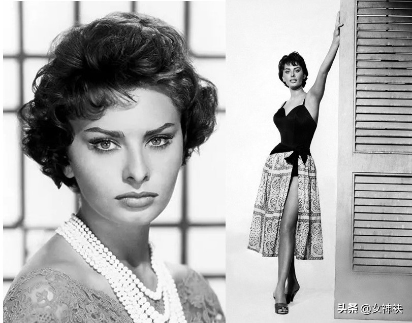 意大利国宝明星,意大利国宝明星索菲亚罗兰