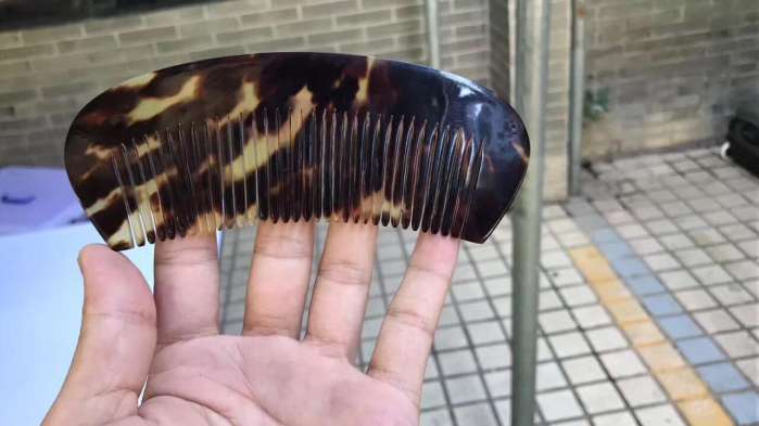 文玩流行的动物制品 (十种野生文玩)