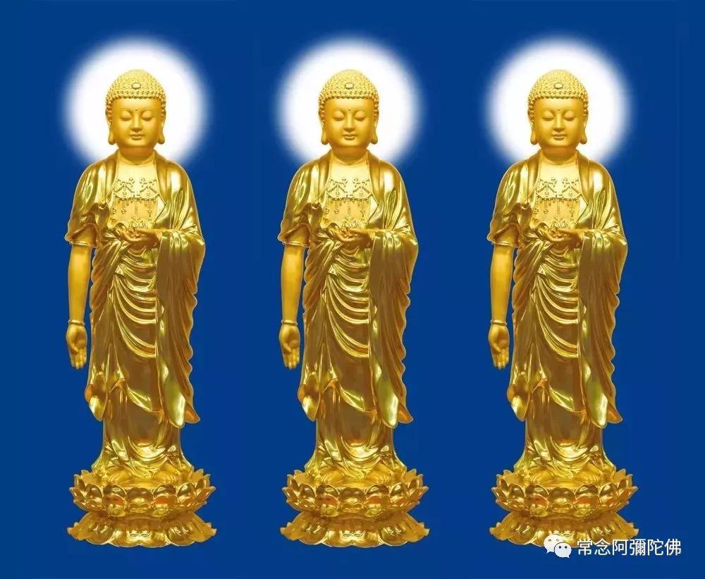 阿弥陀佛的正确读法视频,南无阿弥陀佛最正确的读法