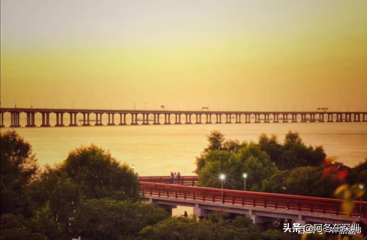 深圳一日游必去的十个免费景点,深圳一日游必去十大网红景点