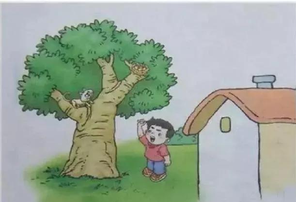 小学一二年级必考看图写话范文,二下看图写话100篇免费