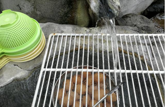 日本混合温泉体验,日本的混浴温泉在哪里