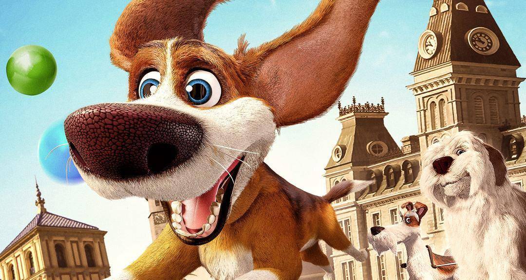 什么品种的狗狗适合有孩子家庭养,如何挑选适合自己的狗狗品种